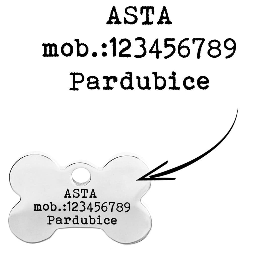 S4U Ocelová psí známka - kost malá - PZ050 - náhled 2