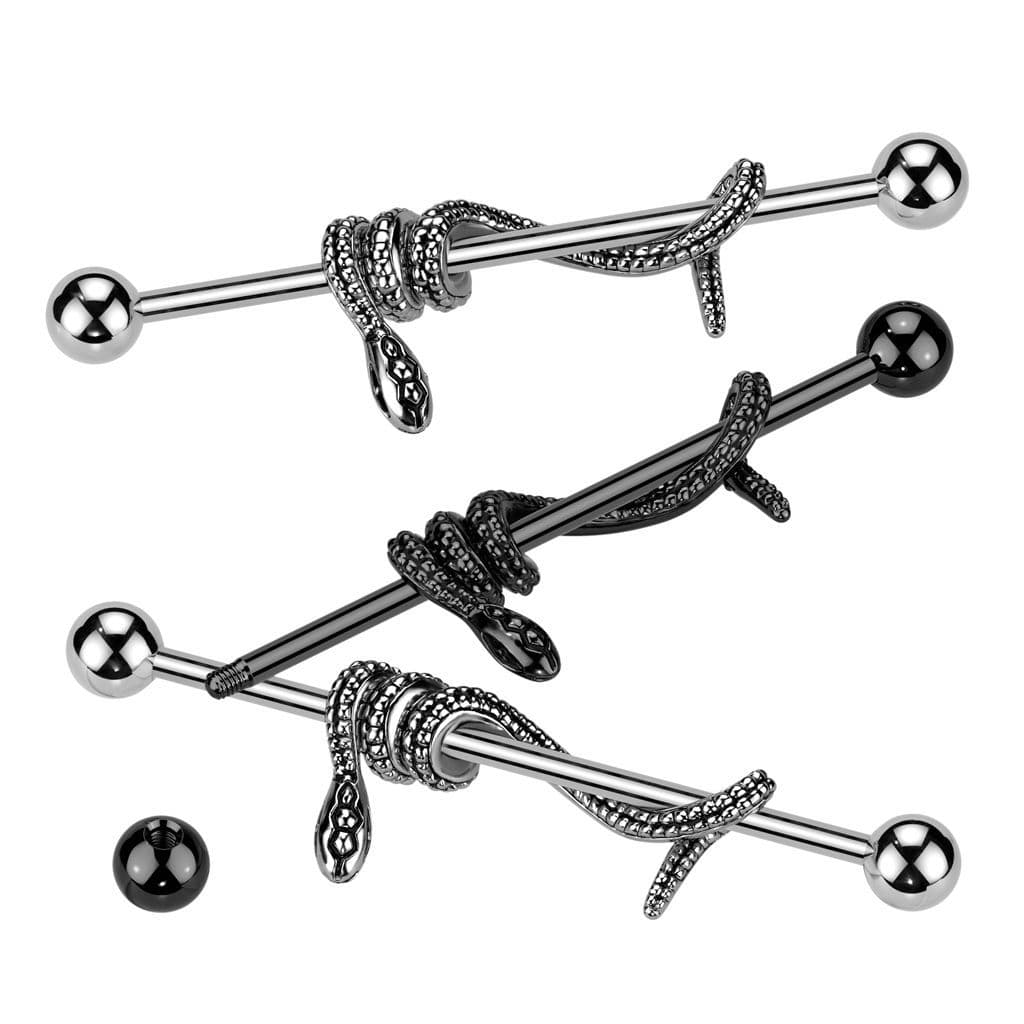 Industrial piercing - had - náhled 3