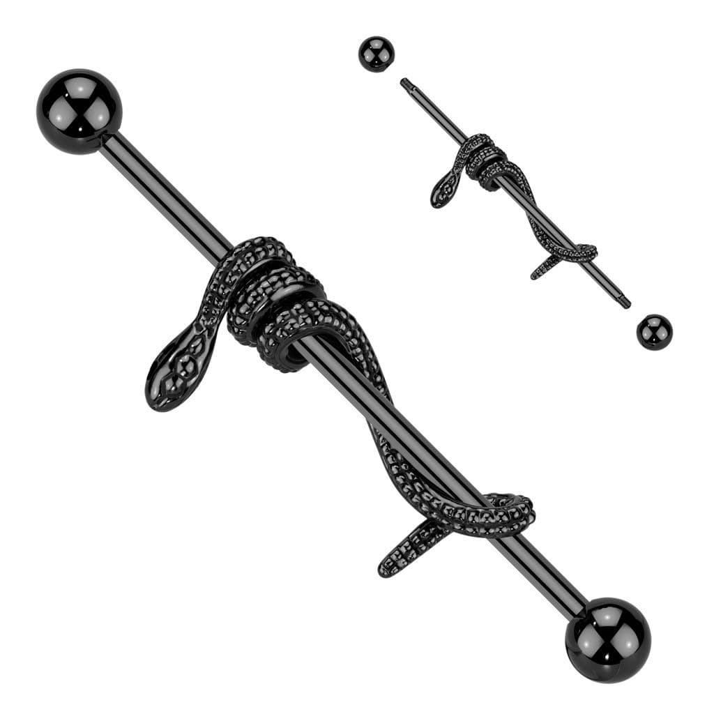 Industrial piercing - had - náhled 4