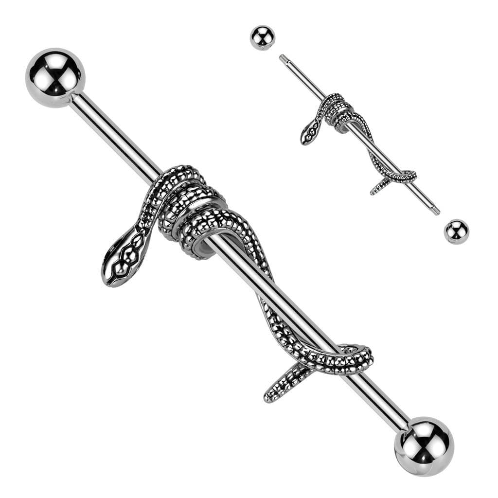 Industrial piercing - had - náhled 1