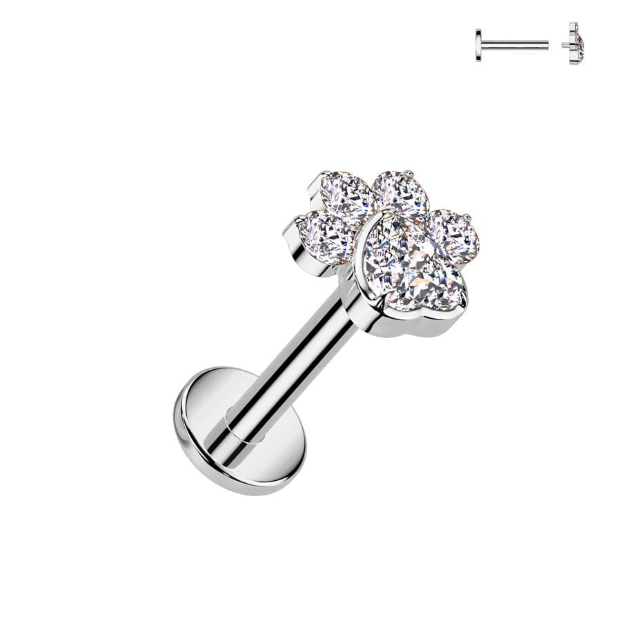 Piercing do brady - labreta tlapka TITAN (1,2 x 6 mm) - TIT1423-1206 - náhled 1