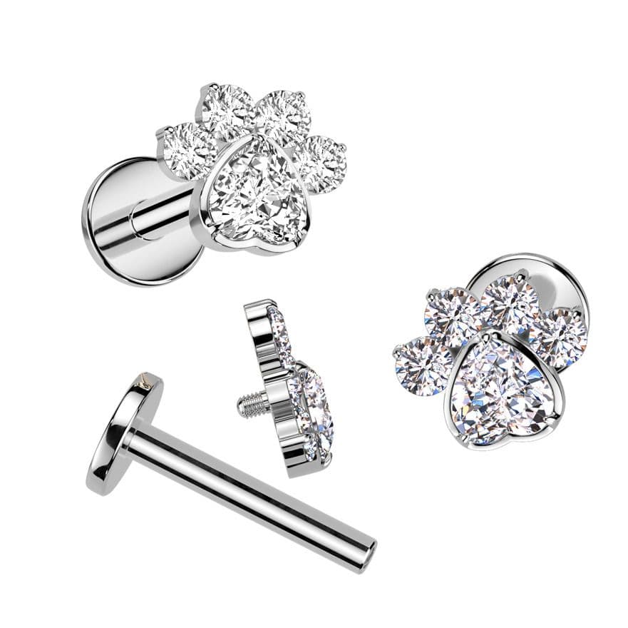 Piercing do brady - labreta tlapka TITAN (1,2 x 6 mm) - TIT1423-1206 - náhled 2