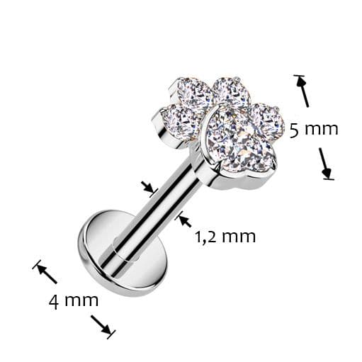 Piercing do brady - labreta tlapka TITAN (1,2 x 6 mm) - TIT1423-1206 - náhled 3